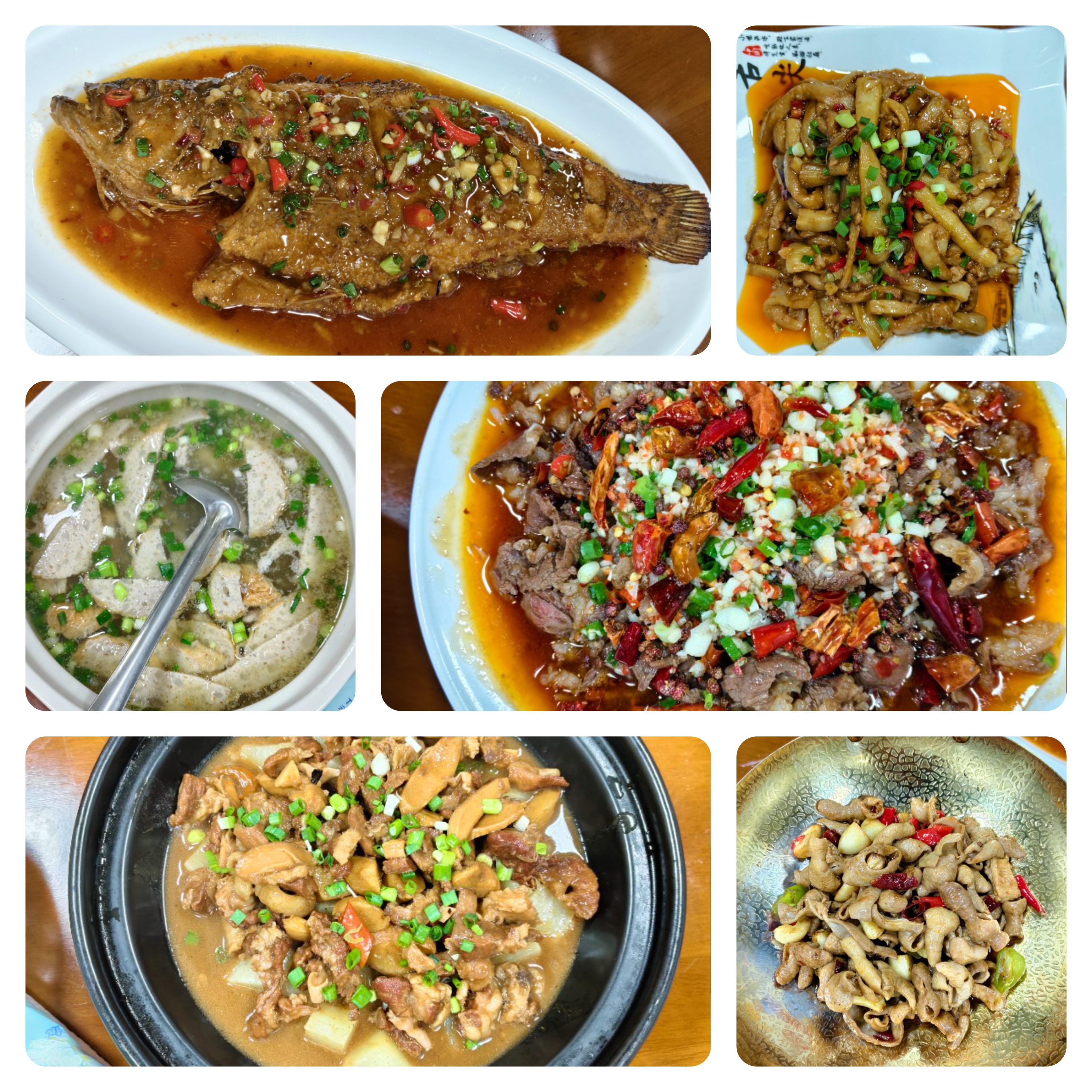 April Dinner Gathering: Delicious Feast and Future Outlook